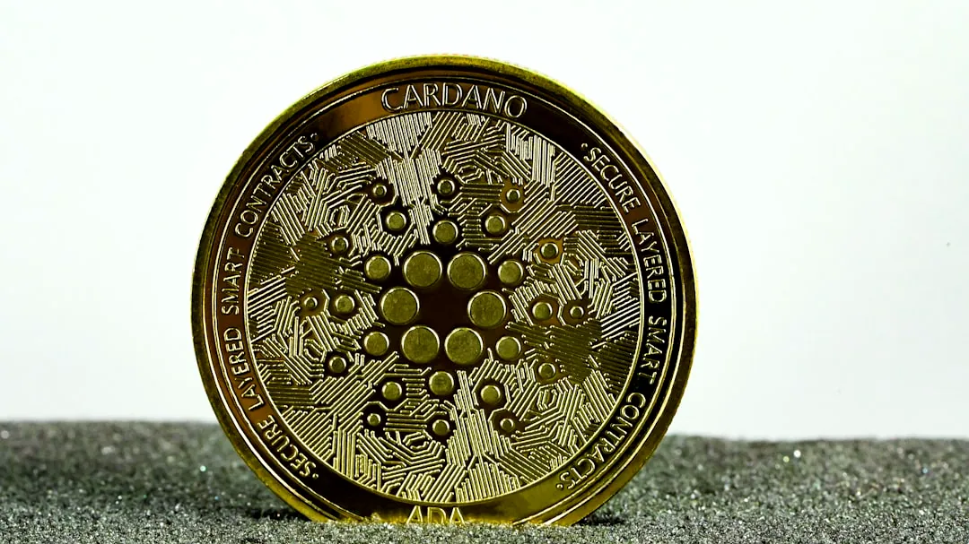 a close up of a coin on a table