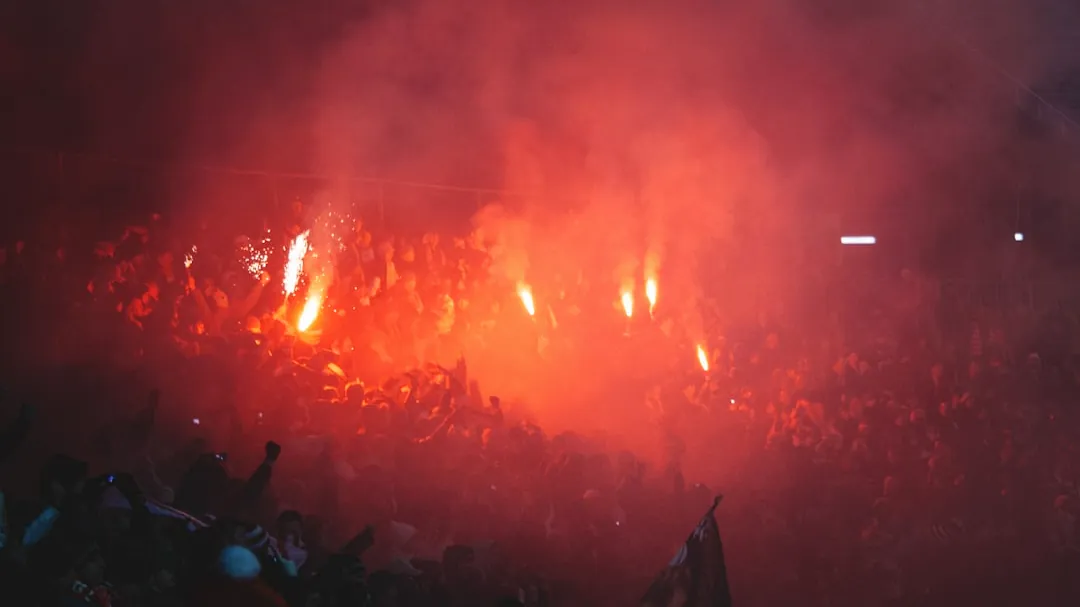 a crowd of people at a concert